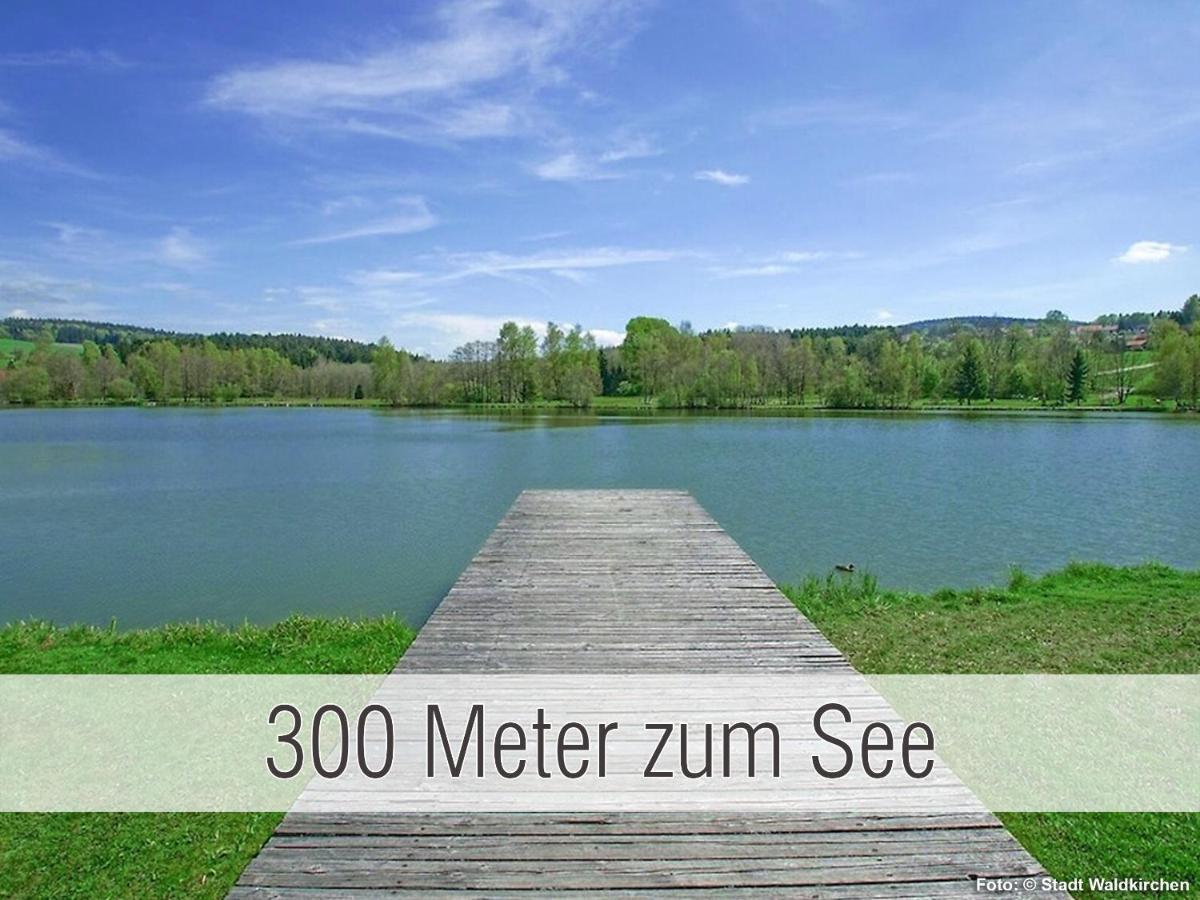 Huette41: Ganze Huette Nah Am See Mit Privatem Whirlpool, Sauna. Umzaeunt. Вальдкірхен Екстер'єр фото