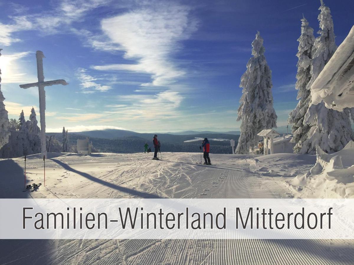 Huette41: Ganze Huette Nah Am See Mit Privatem Whirlpool, Sauna. Umzaeunt. Вальдкірхен Екстер'єр фото